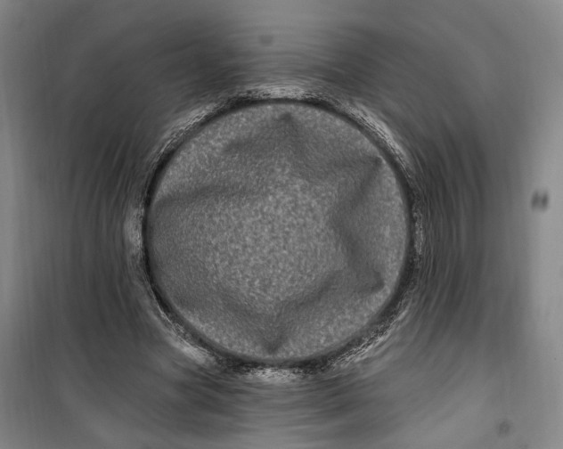 X0000099580537200806061629