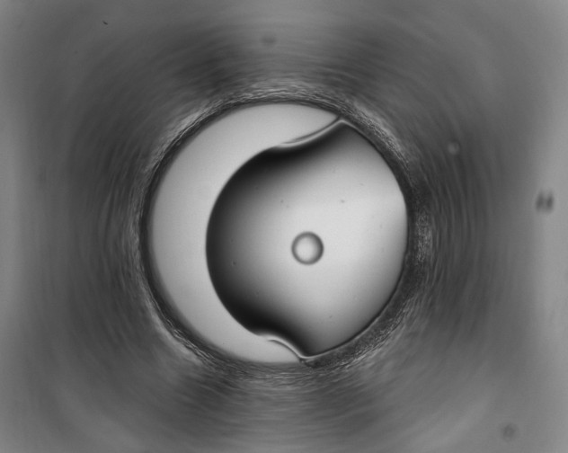 X0000099580538200806061629