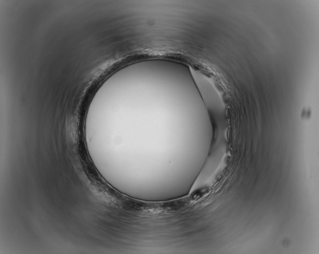 X0000099580540200806061629