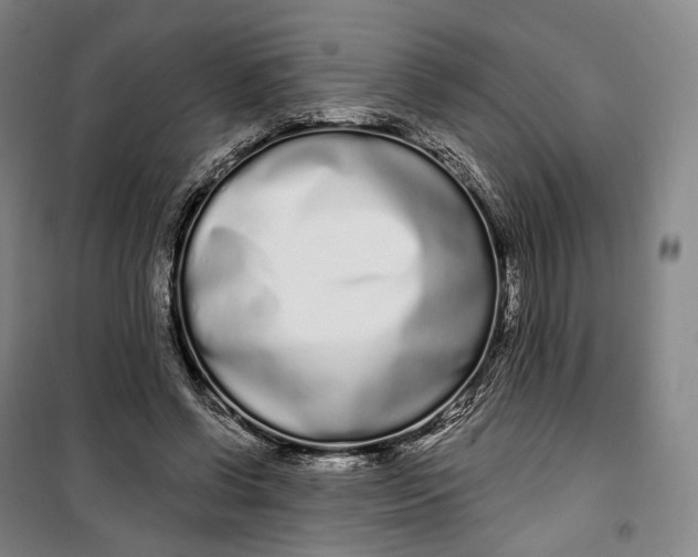 X0000099580542200806061629