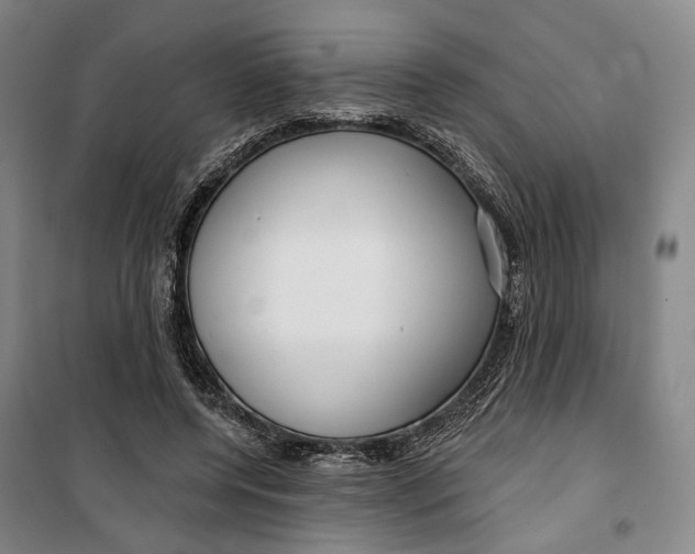 X0000099580544200806061629