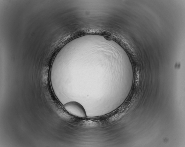 X0000099580545200806061629