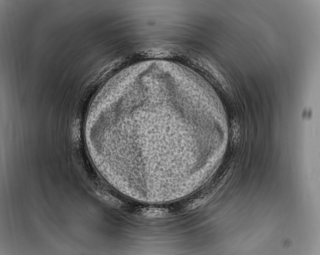 X0000099580549200806061629