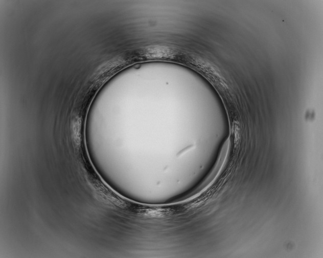 X0000099580550200806061629