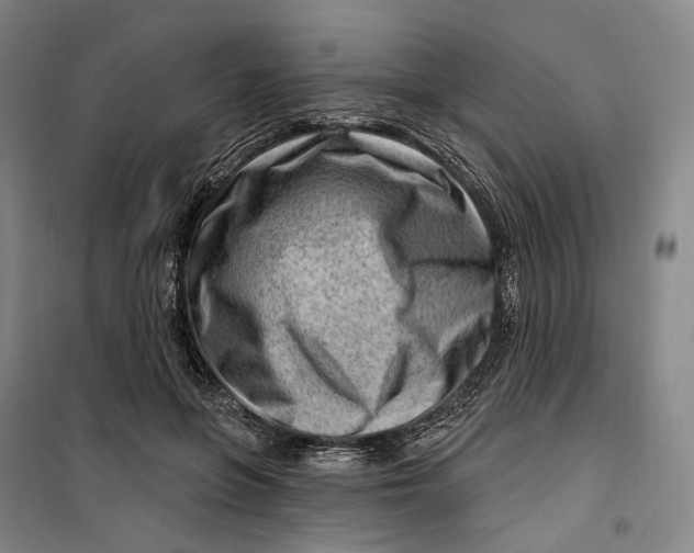 X0000099580551200806061629