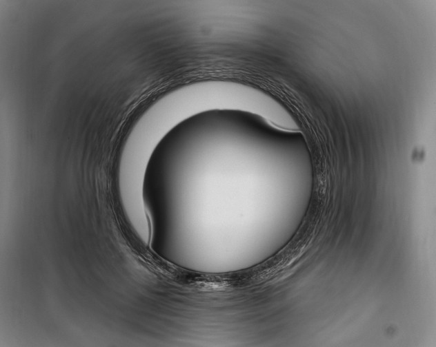 X0000099580552200806061629