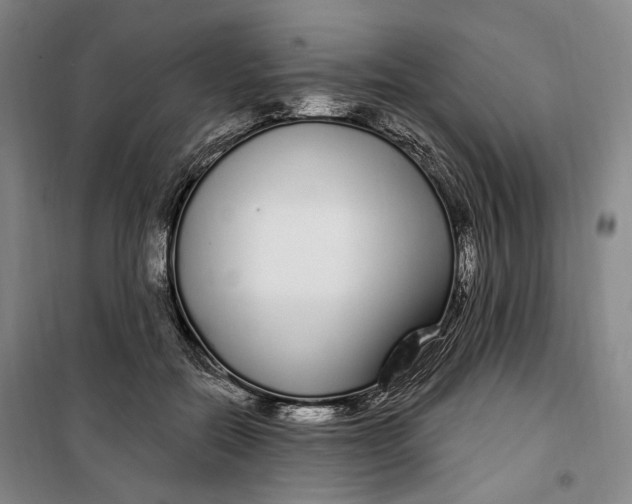 X0000099580554200806061629