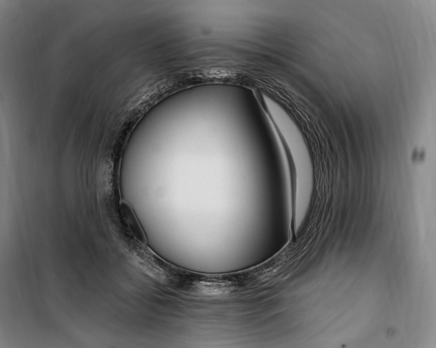 X0000099580556200806061629