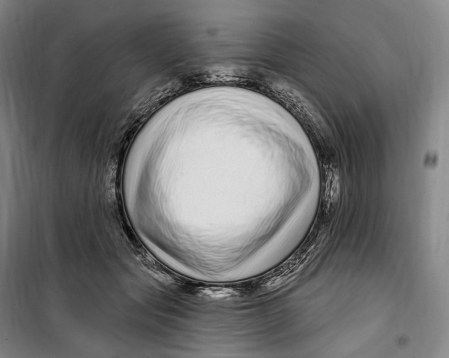 X0000099580557200806061629