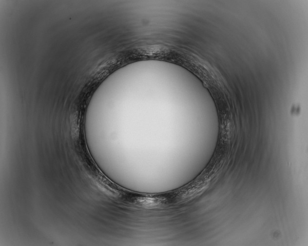 X0000099580558200806061629