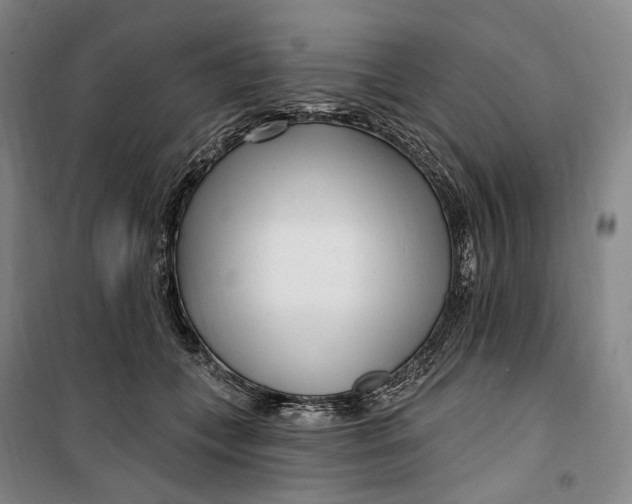 X0000099580559200806061629