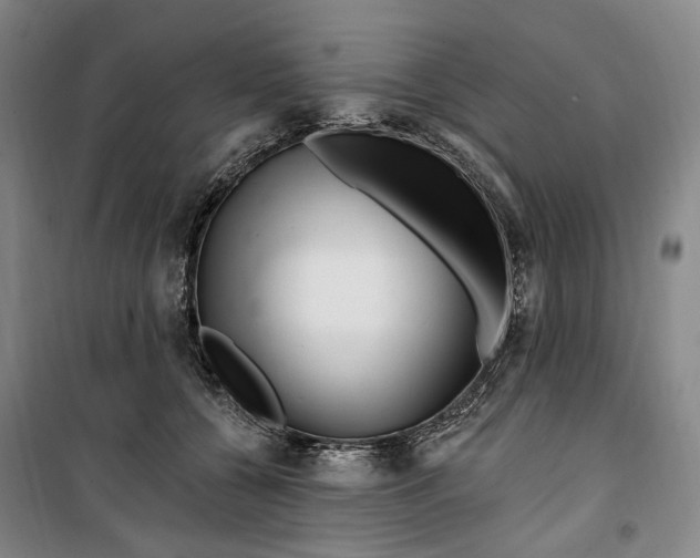 X0000099580560200806061629