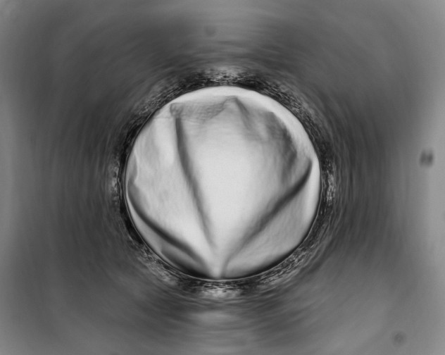 X0000099580561200806061629