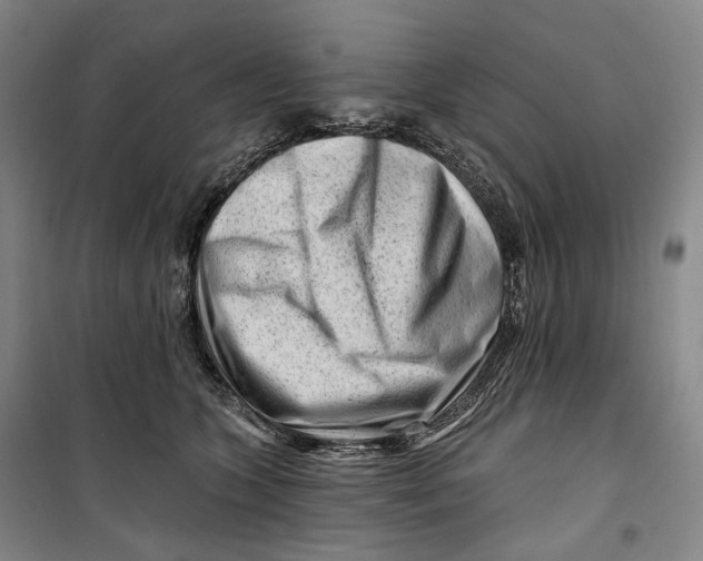 X0000099580563200806061629