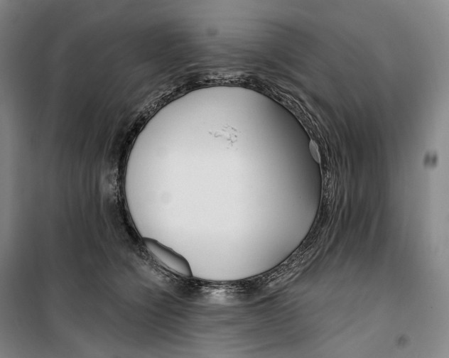 X0000099580564200806061629