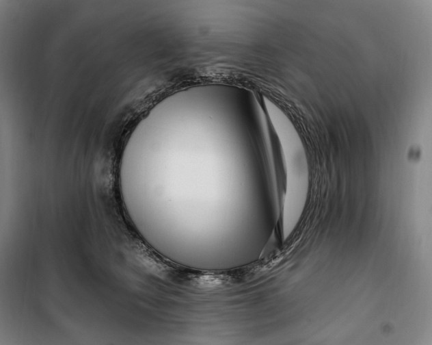 X0000099580566200806061629