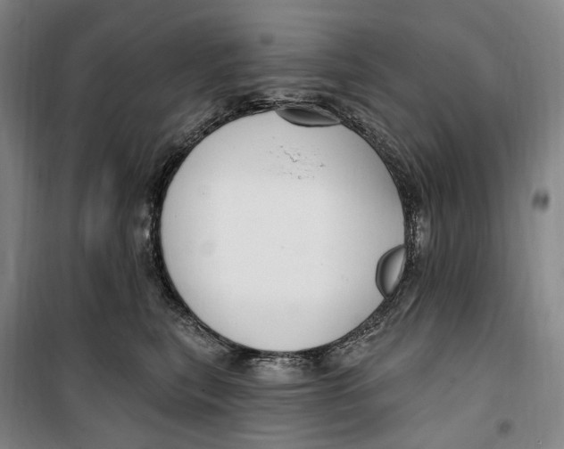 X0000099580567200806061629