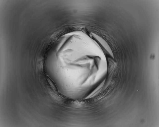 X0000099580570200806061629