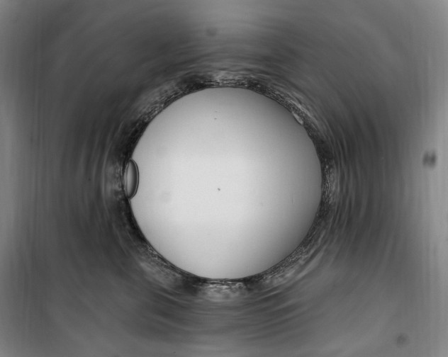 X0000099580571200806061629