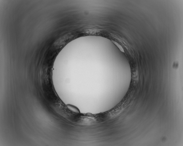 X0000099580572200806061629