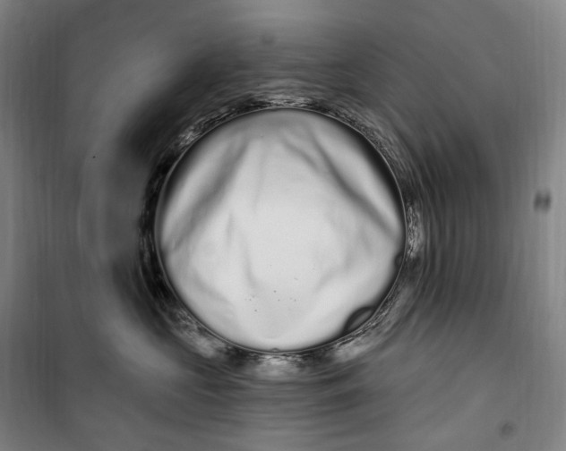 X0000099580573200806061629