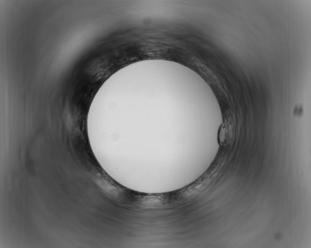 X0000099580574200806061629