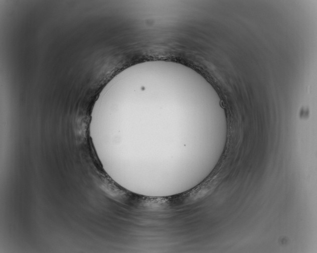 X0000099580576200806061629