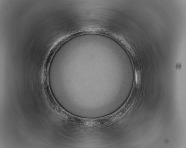 X0000099580579200806061629