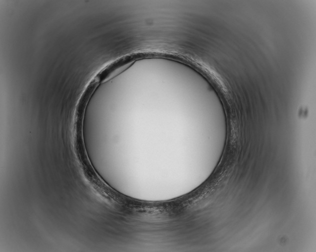 X0000099580580200806061629