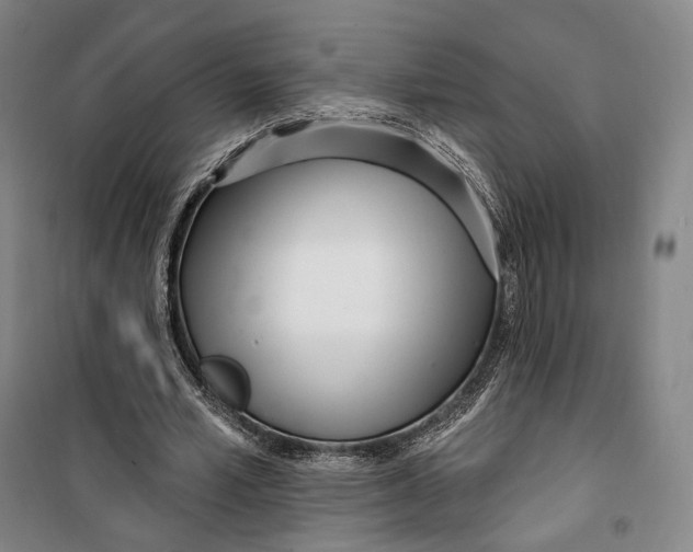 X0000099580581200806061629