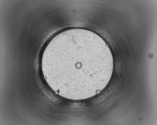 X0000099580584200806061629