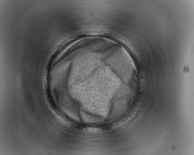 X0000099580590200806061629