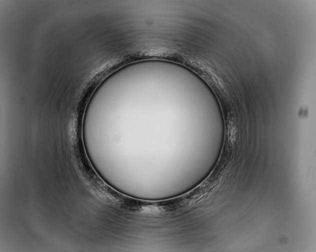 X0000099580591200806061629