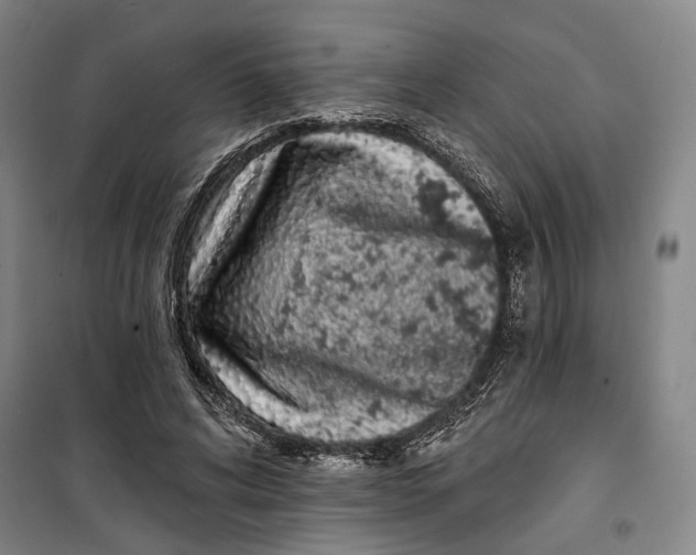 X0000099580592200806061629