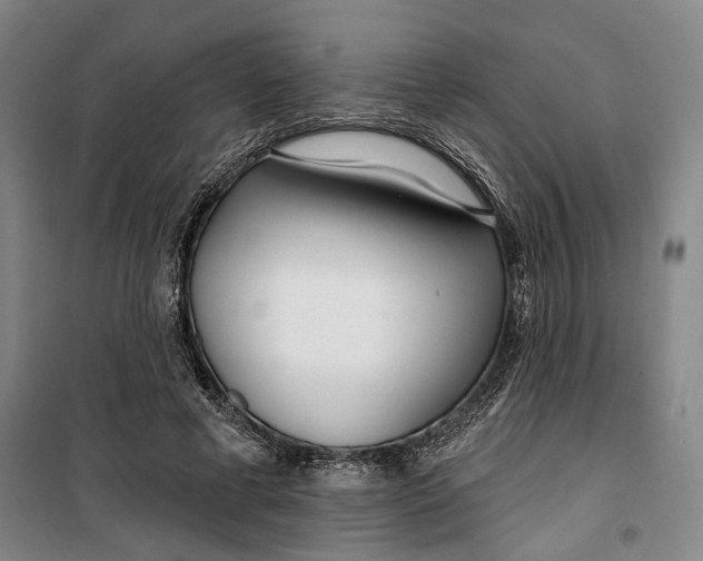 X0000099580593200806061629