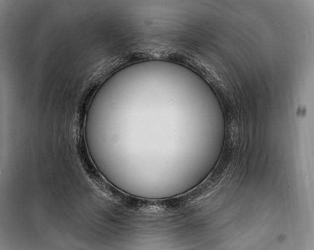 X0000099580594200806061629