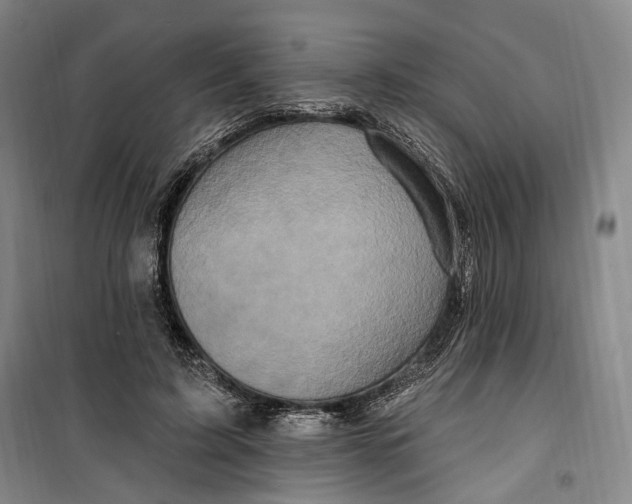 X0000099580595200806061629