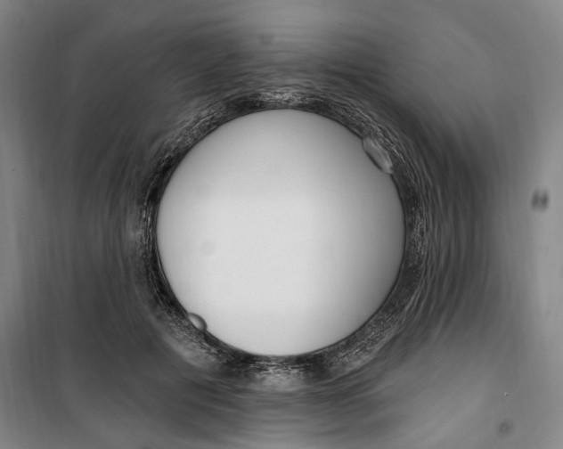 X0000099580601200806061628