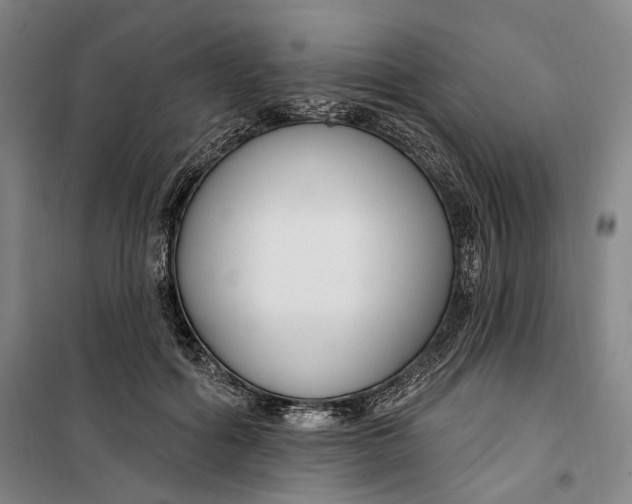 X0000099580602200806061628