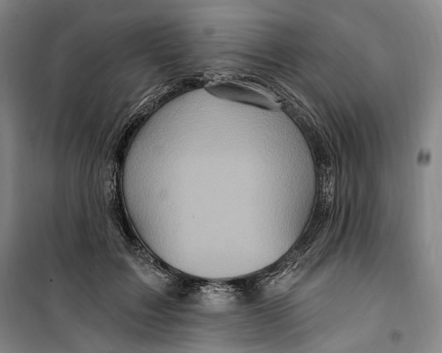 X0000099580603200806061628