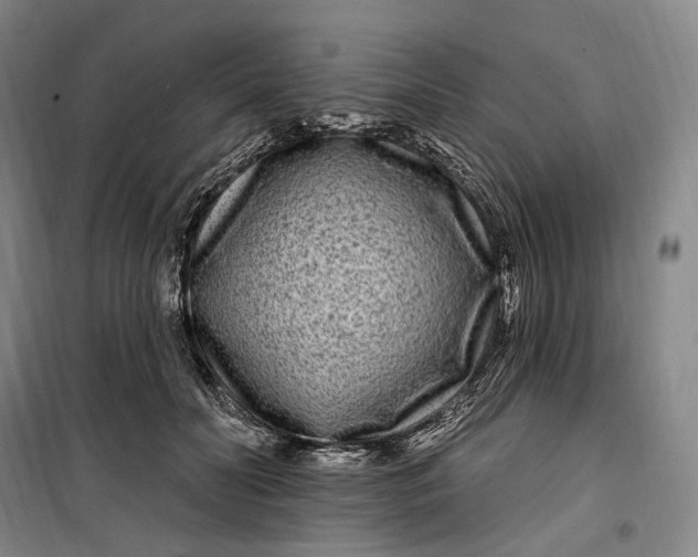 X0000099580606200806061628