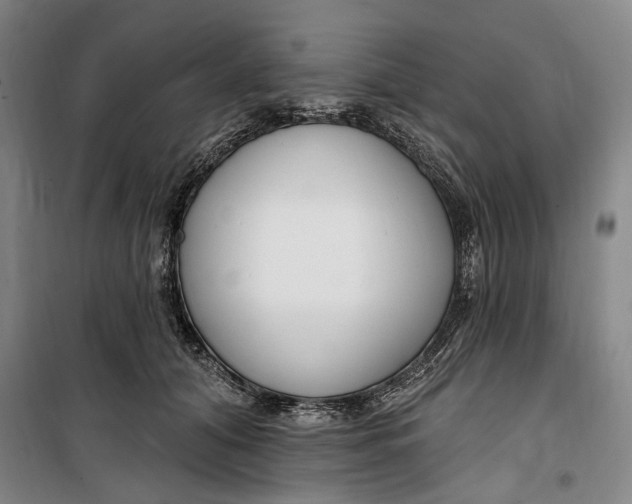 X0000099580608200806061628