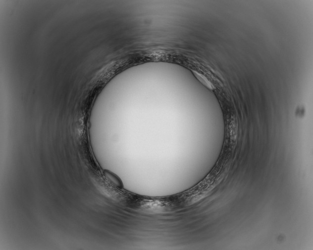 X0000099580611200806061628