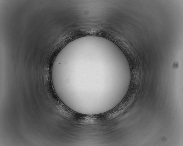 X0000099580612200806061628