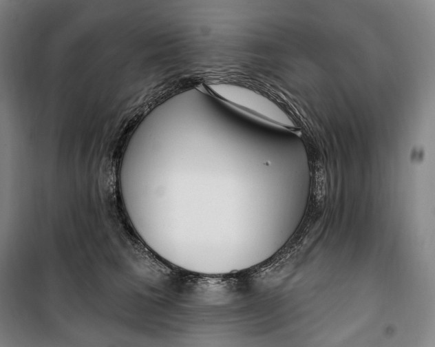 X0000099580613200806061628