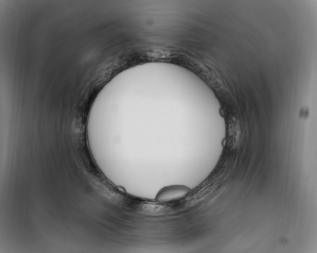 X0000099580614200806061628