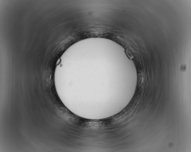 X0000099580615200806061628