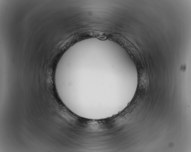 X0000099580616200806061628