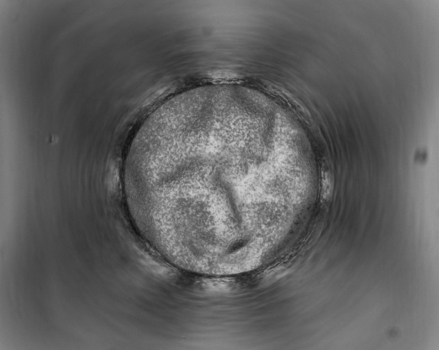 X0000099580618200806061628