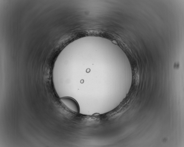 X0000099580619200806061628